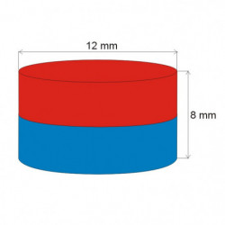 Magnete al neodimio cilindro diam.12x8 N 80 °C, VMM7-N42